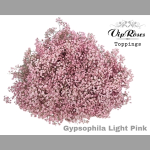GYPS PA LIGHT PINK