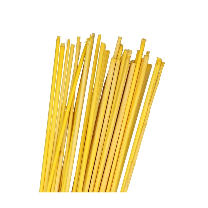 <h4>Dried articles Bamboostick 100cm x20</h4>