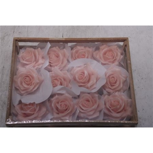 Wax Roos Baby Roze