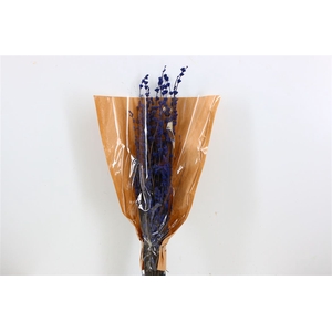 PRES LAVENDEL LIGHT BLUE BUNCH SLV