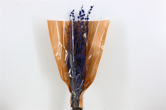 <h4>PRES LAVENDEL LIGHT BLUE BUNCH SLV</h4>