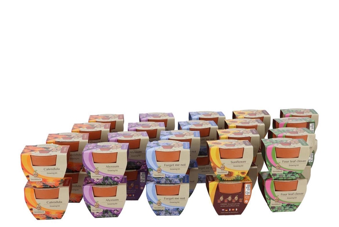 <h4>Greengift Forget Me Sunflower Clover Calendula 6x5cm</h4>