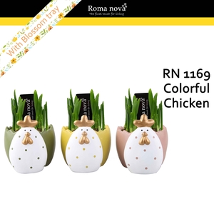 1169 - Colorful Chicken (Tete a Tete)