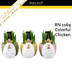 1169 - Colorful Chicken (Tete a Tete)