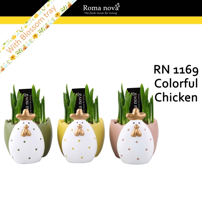 <h4>1169 - Colorful Chicken (Tete a Tete)</h4>