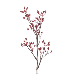 Af Rosehip Corallo Sp L61cm Re