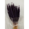 Dried Pinion Grass Purple Bunch