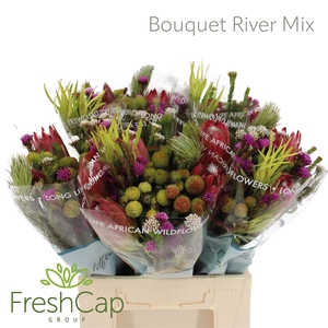 Bouquet River Mix