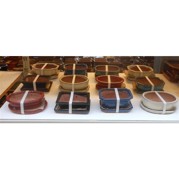 <h4>empty bonsai pots + plates, 14,5-16 cm. 12 pcs per box</h4>