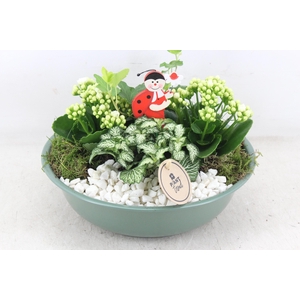 arr2 PL - Zink schaal groen - wit