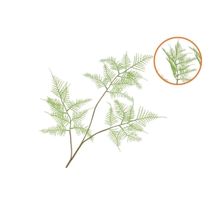 Silk Fern Asparagus Light Green 87cm