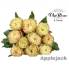 R GR APPLE JACK COLD