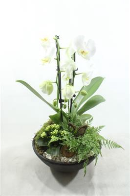 <h4>4476 EBBI CASCADE</h4>