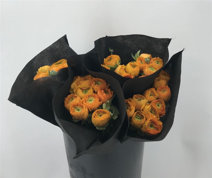 <h4>Ran Suc Sunrise Sup</h4>