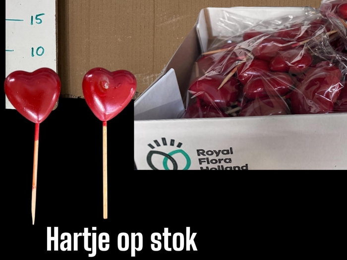 <h4>HARTJE OP STOK H%</h4>