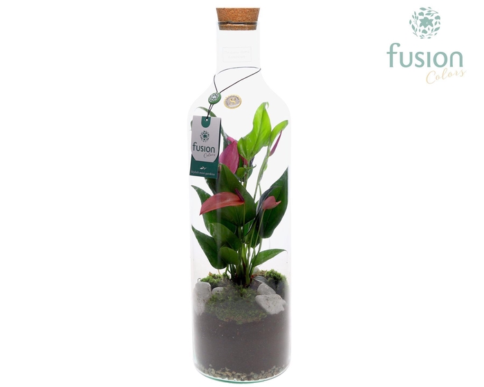 <h4>Green Bottle Fles Large met Anthurium</h4>