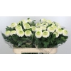 CHR E BORIS BECKER ANGEBOT