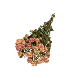 Dried flowers Bouquet rose/gyps 45-50cm