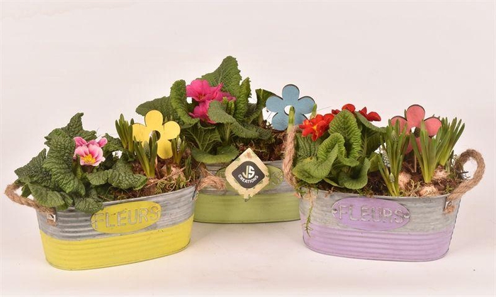 <h4>Zink ovaal mix kl. 20x11cm</h4>