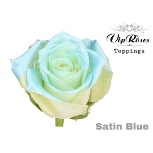 R Gr Baby Satin Blue X20