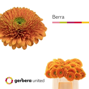 Ge Gb Terra Berra