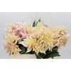Dahlia Cafe Au Lait