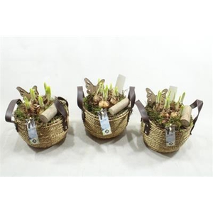 21312 MAND+LEER HANDVAT TETE