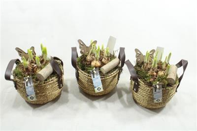 <h4>21312 Leren Band Gevl Mand</h4>