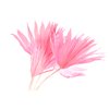 Palm Sun Pink
