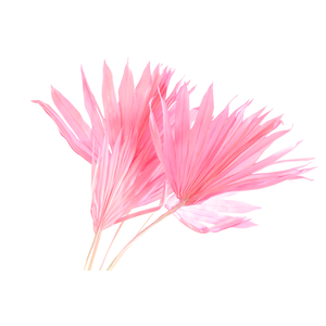 Palm Sun Pink