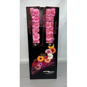 GE MI KIMSEY Aquabox *160