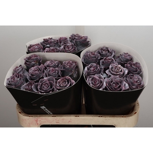 Wax-Rozen Wax Classic Milka Silverado