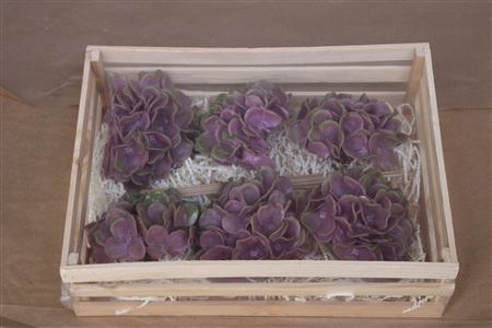 <h4>Wax Hydrangea Rosa\groen</h4>