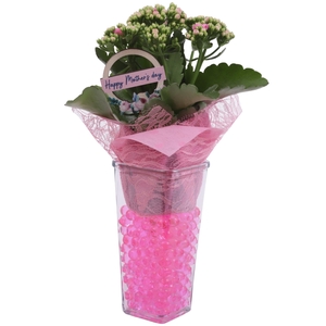 Mothersday Arr. Indoor Glass Square Ø09cm 1PP