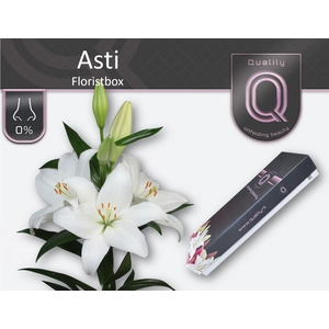 LI LA ASTI FLORISTBOX 5+