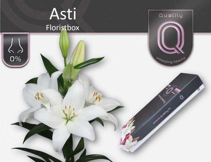 <h4>LI LA ASTI FLORISTBOX 5+</h4>