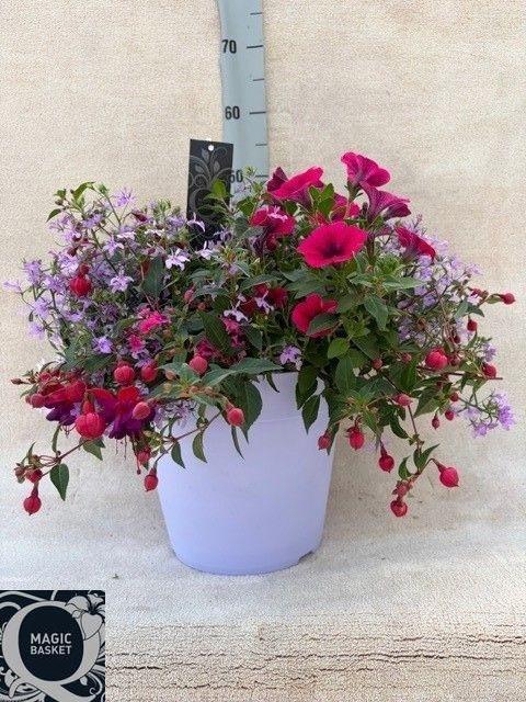 <h4>PERKPL TOEF 5 KL</h4>