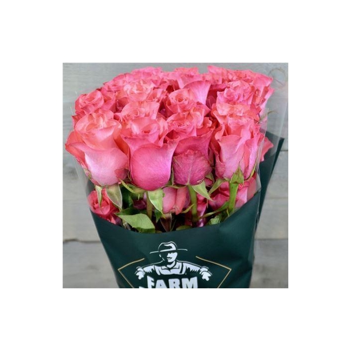 <h4>R Gr Pink Love</h4>