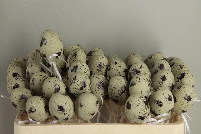 <h4>Stick Egg Quail Large 6cm</h4>