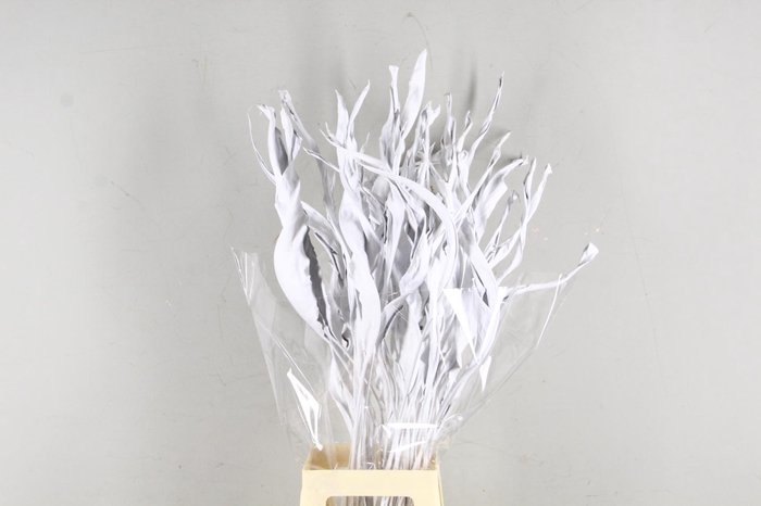 <h4>DF Strelitzia Leaf White</h4>