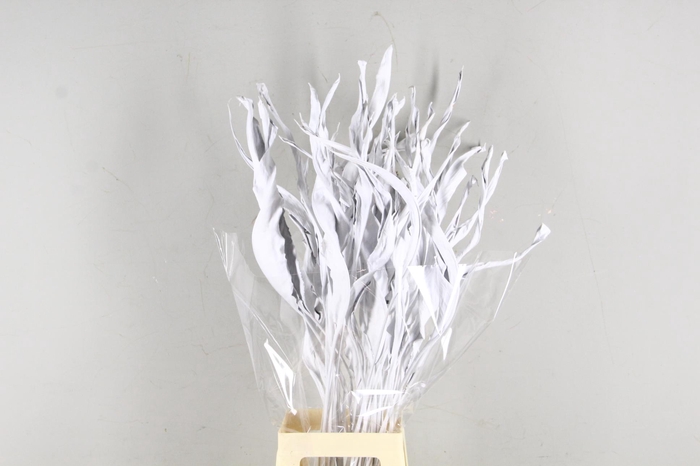 <h4>DF Strelitzia Leaf White</h4>