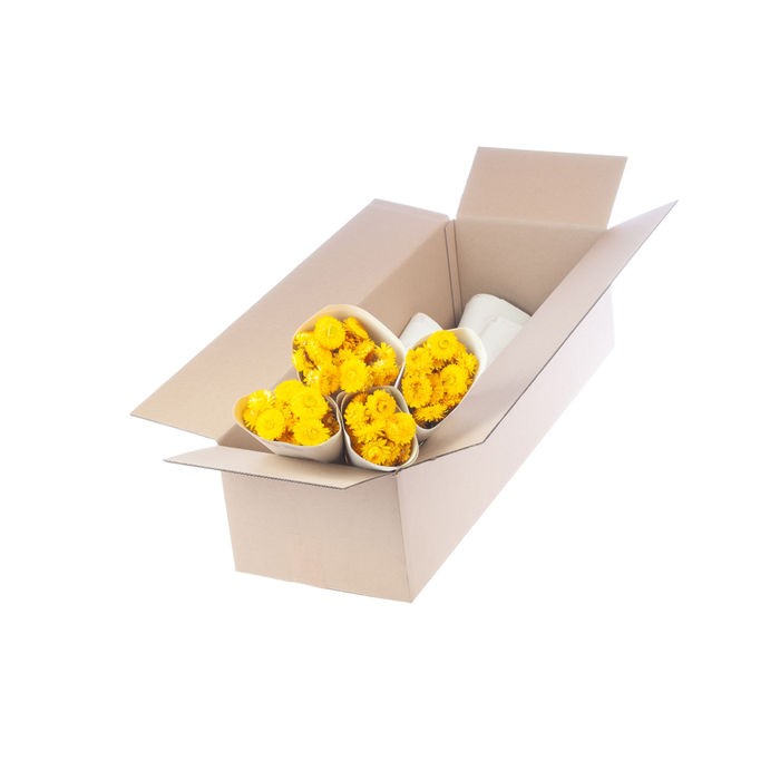 <h4>Helichrysum nat. yellow</h4>