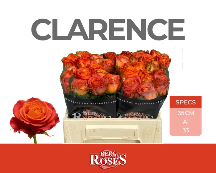 <h4>Rozen R GR Clarence</h4>