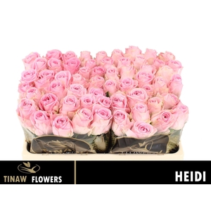 R GR HEIDI!