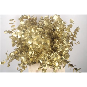 Euca Cinerea Gold Per Bunch 400 Gram