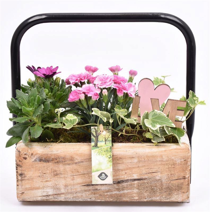 <h4>Hout rechthoek met hendel 26x11cm</h4>