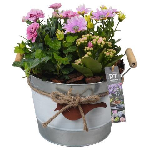 <h4>PTPP6907 Arrangement Patio in metalen schaal</h4>