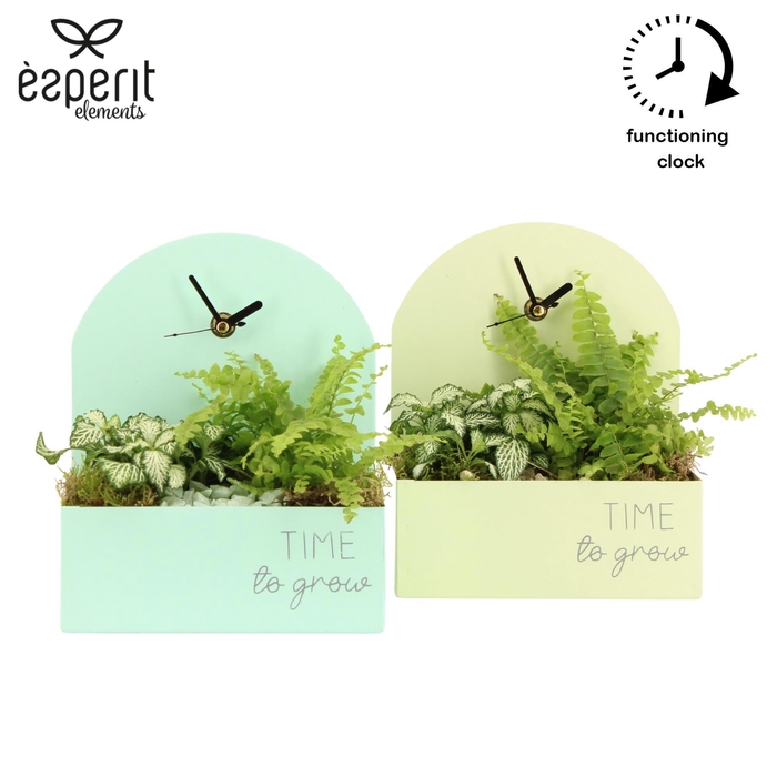 <h4>11700: Consideration arrangement</h4>