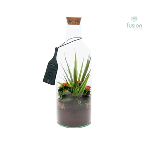 Green Bottle Fles Medium met Arrangement