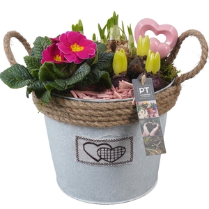 PTVO3604 Arrangement Valentine Outdoor in metalen pot